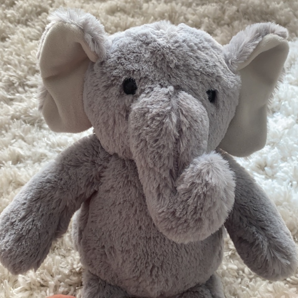 Teddy bear